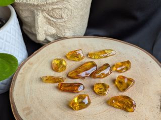 Pro milovníky výjimečných kousků… ✨ Kousky jantaru s hmyzem patří mezi nejvýjimečnější produkty, které v e-shopu nabízím....